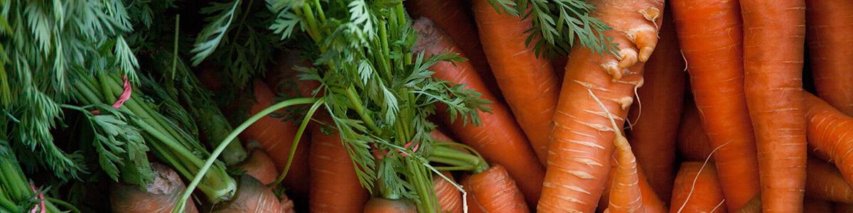 Carrots. 